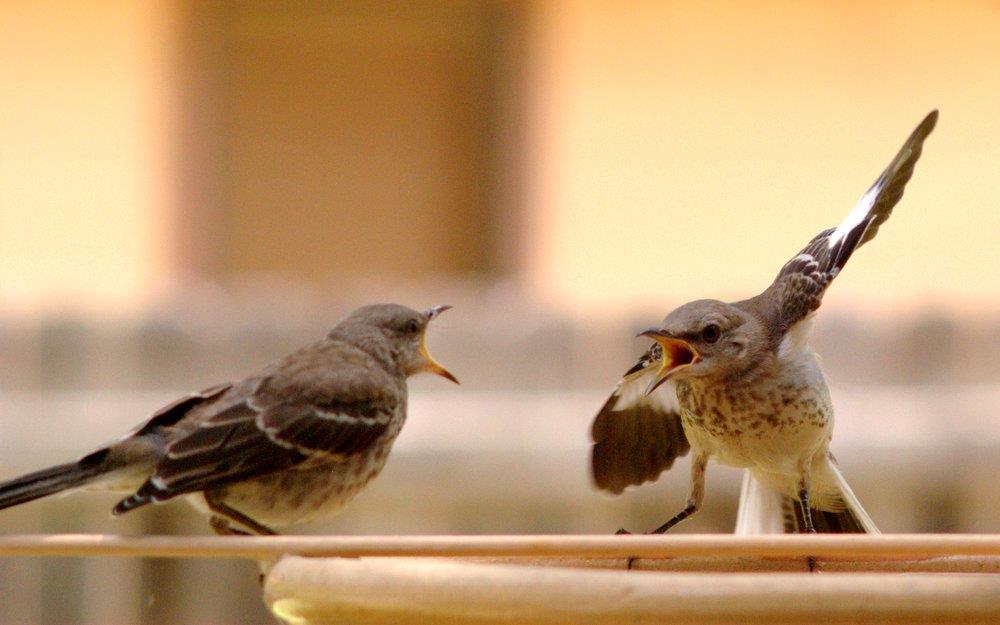 9 câu đừng nói lúc đang tức giận với người mình yêu thương 9 câu đừng nói lúc đang tức giận với người mình yêu thương