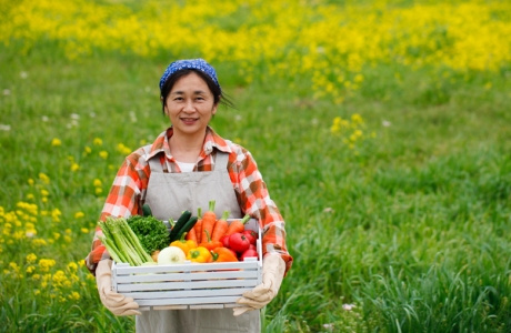 Đừng hi vọng điều gì tốt đẹp nếu bạn không chăm chỉ Đừng hi vọng điều gì tốt đẹp nếu bạn không chăm chỉ