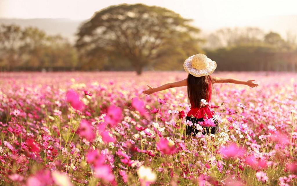 Đừng vì ai đó mà từ bỏ bản thân mình Đừng vì ai đó mà từ bỏ bản thân mình