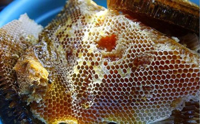 Thông tin 75% mật ong chứa thuốc trừ sâu là không đúng Thông tin 75% mật ong chứa thuốc trừ sâu là không đúng